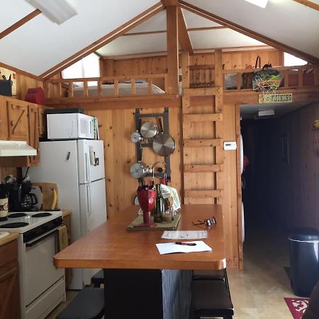 Cozy Cabin On The Bayou Maurepas Exterior photo