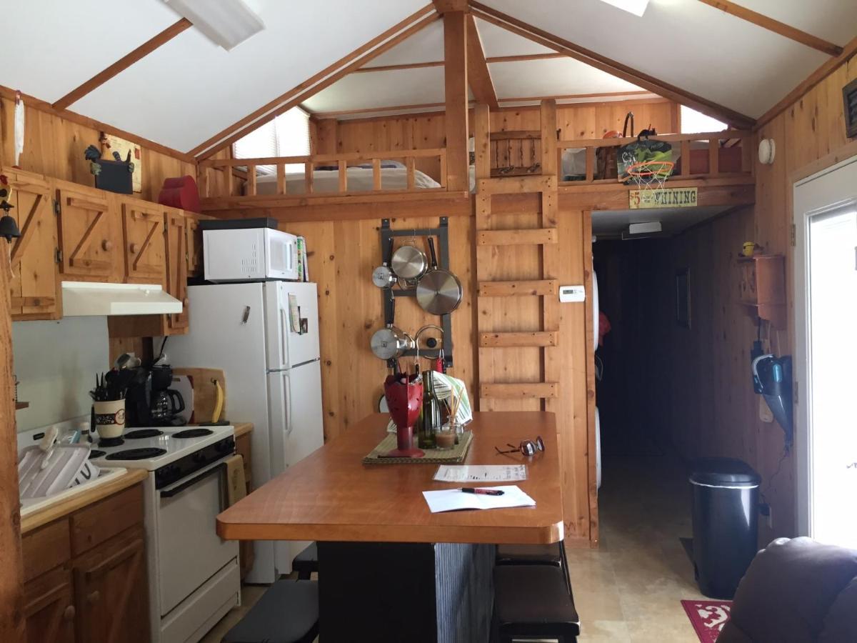 Cozy Cabin On The Bayou Maurepas Exterior photo
